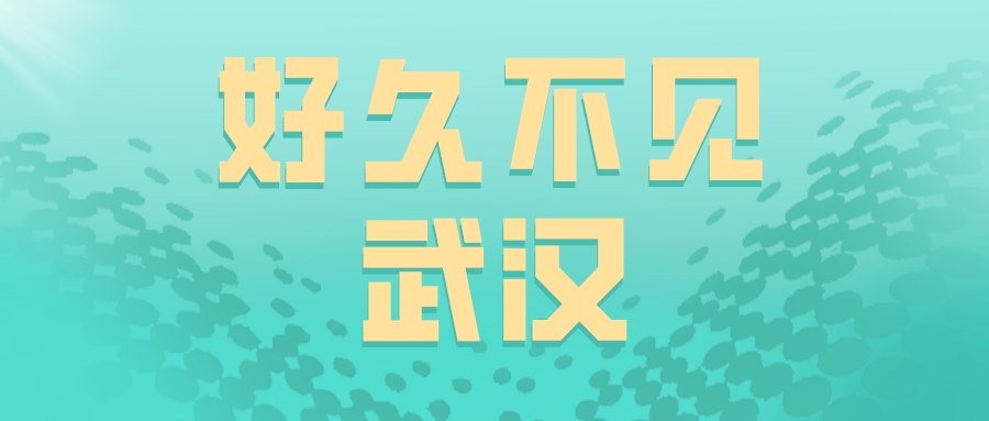 欢迎回来，我们的大武汉！